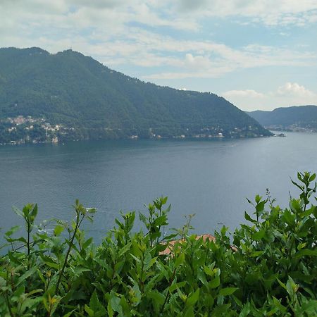 Little Garden House Villa Cernobbio Exterior photo